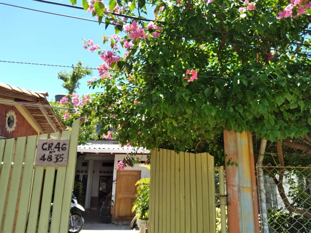 Habitacion Triple Con Cocina Y Bano Privado เนโคคลิ ภายนอก รูปภาพ
